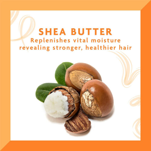 پماد حالت دهنده مو شی باتر کنتو - Cantu Shea Butter Hair Dressing Pomade