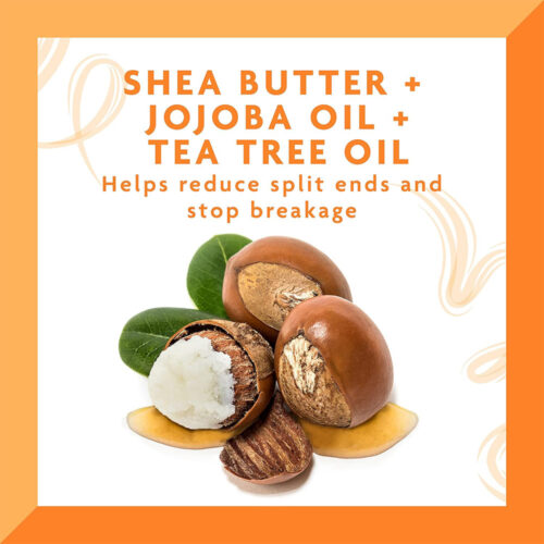 روغن مو جوجوبا و درخت چای کنتو - Cantu Tea Tree & Jojoba Hair & Scalp Oil