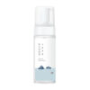 فوم شستشوی عمیق حبابدار دوکدو راندلب - Round Lab 1025 Dokdo Bubble Foam