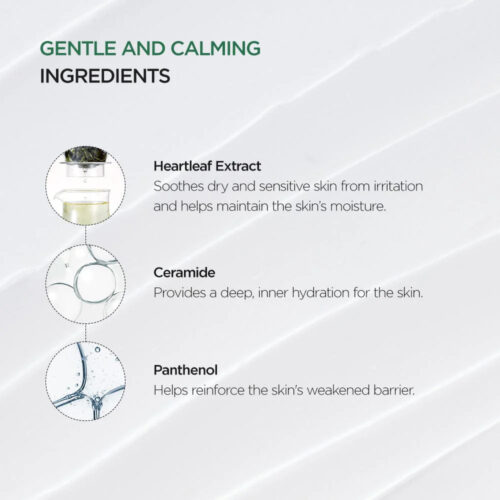 کرم مرطوب کننده و تسکین دهنده آنوا - Anua Heartleaf 70% Intense Calming Cream